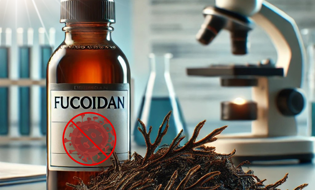 Fucoidan: สารสกัดจากสาหร่ายทะเลที่อาจช่วยยับยั้งการเติบโตของเซลล์มะเร็ง