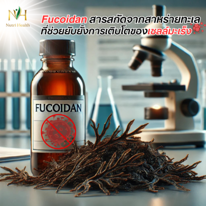 Fucoidan: สารสกัดจากสาหร่ายทะเลที่อาจช่วยยับยั้งการเติบโตของเซลล์มะเร็ง