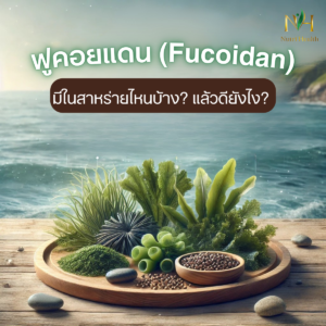 Fucoidan  มีในสาหร่ายไหนบ้าง? แล้วดียังไง