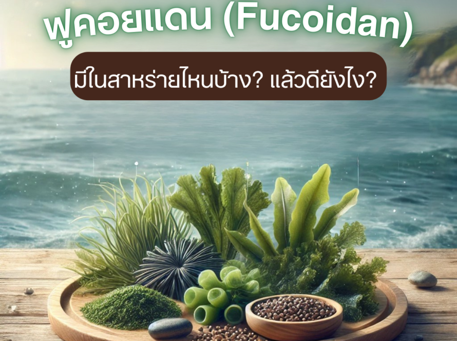 Fucoidan  มีในสาหร่ายไหนบ้าง? แล้วดียังไง