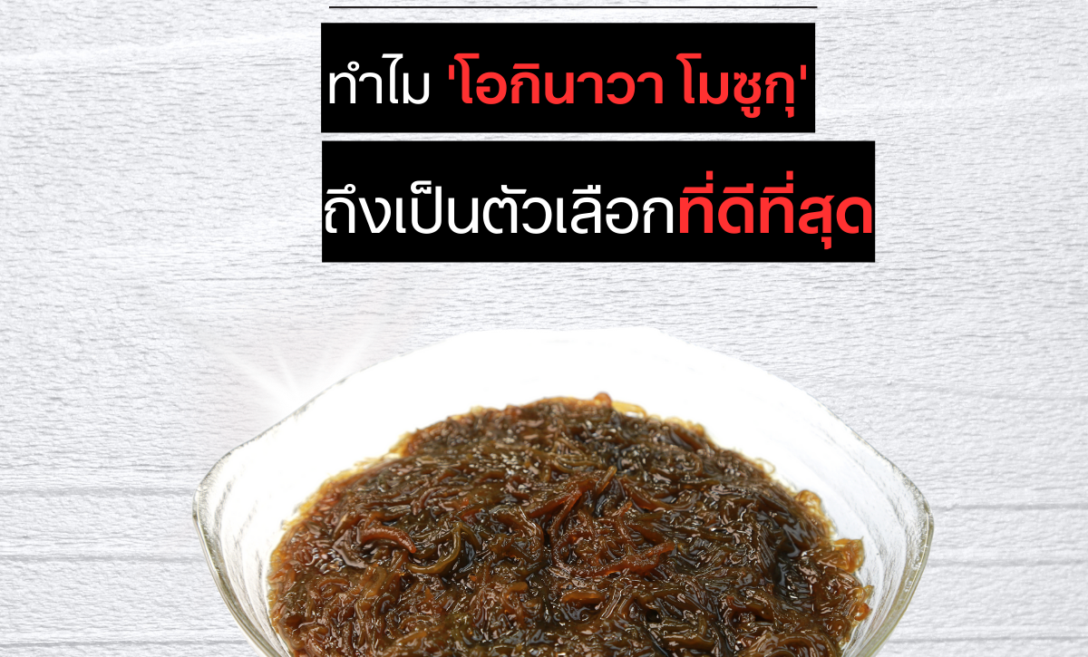 "คุณสมบัติพิเศษของฟูคอยแดนจากสาหร่ายทะเล: ทำไม 'โอกินาวาโมซูกุ' ถึงเป็นตัวเลือกที่ดีที่สุด"