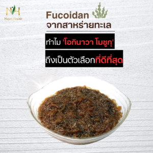 “คุณสมบัติพิเศษของฟูคอยแดนจากสาหร่ายทะเล: ทำไม ‘โอกินาวาโมซูกุ’ ถึงเป็นตัวเลือกที่ดีที่สุด”