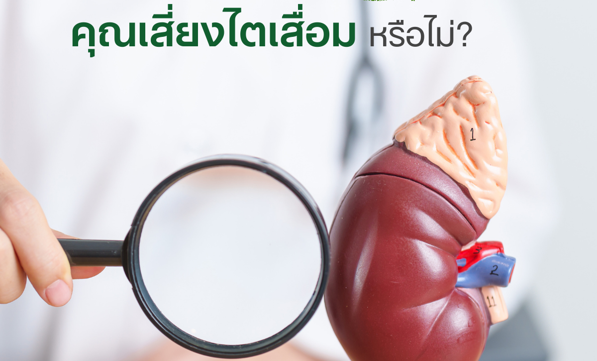 เช็กลิสต์สุขภาพไต คุณเสี่ยงไตเสื่อมหรือไม่?