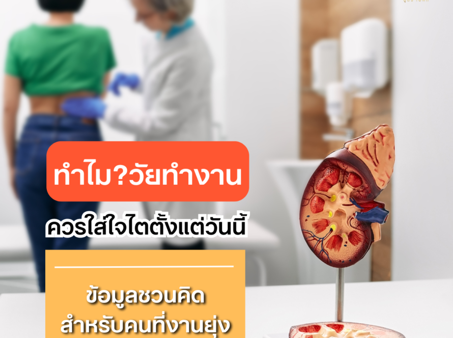 ทำไมวัยทำงานควรใส่ใจไตตั้งแต่วันนี้: ข้อมูลชวนคิดสำหรับคนที่งานยุ่ง