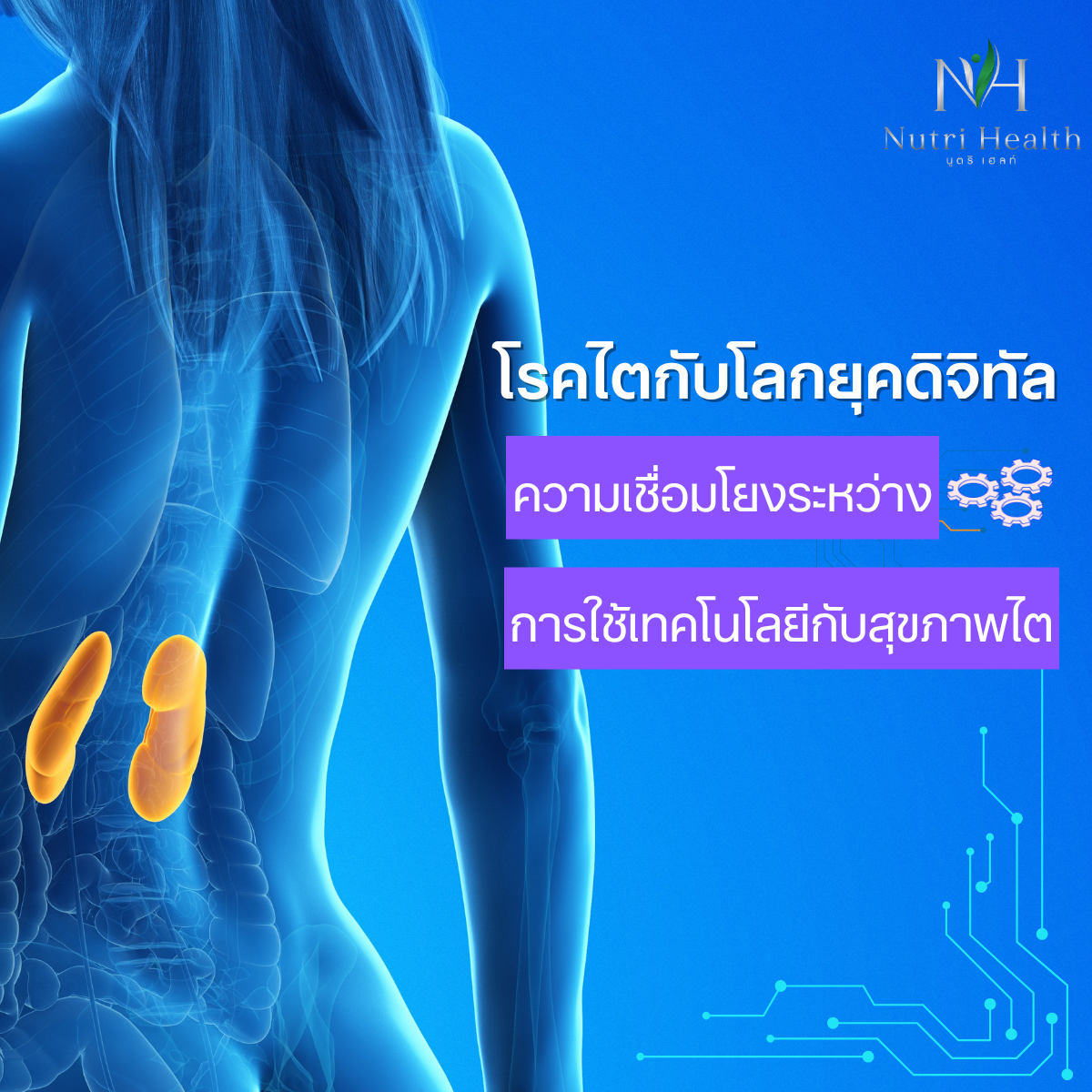 โรคไตกับโลกยุคดิจิทัล: ความเชื่อมโยงระหว่างการใช้เทคโนโลยีกับสุขภาพไต