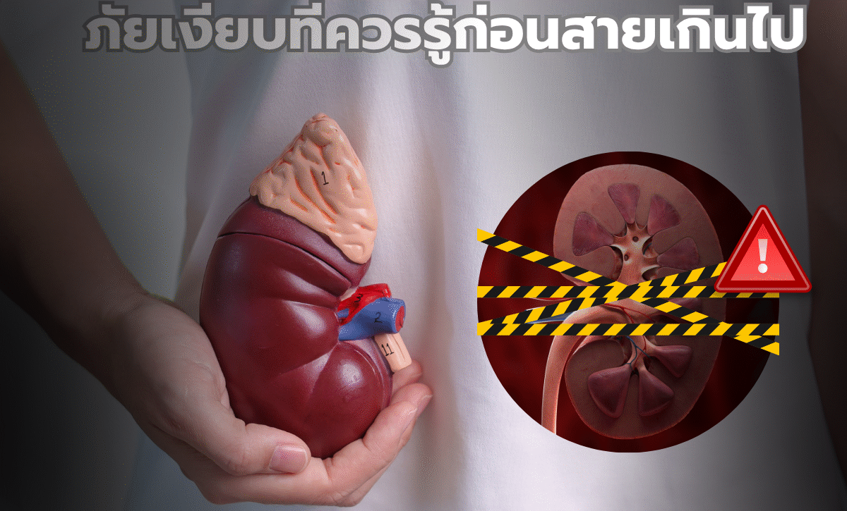 โรคไตเรื้อรัง: ภัยเงียบที่ควรรู้ก่อนสายเกินไป