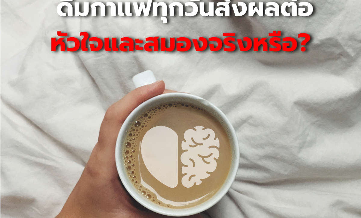 ไขข้อข้องใจ: ดื่มกาแฟทุกวันส่งผลต่อหัวใจและสมองจริงหรือ?