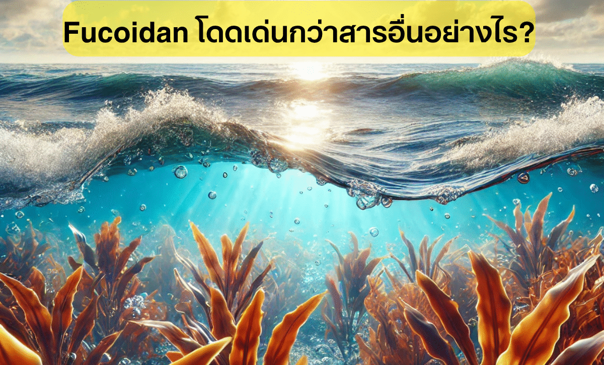 สารอาหารจากทะเลกับการรักษาเบาหวาน: Fucoidan โดดเด่นกว่าสารอื่นอย่างไร?