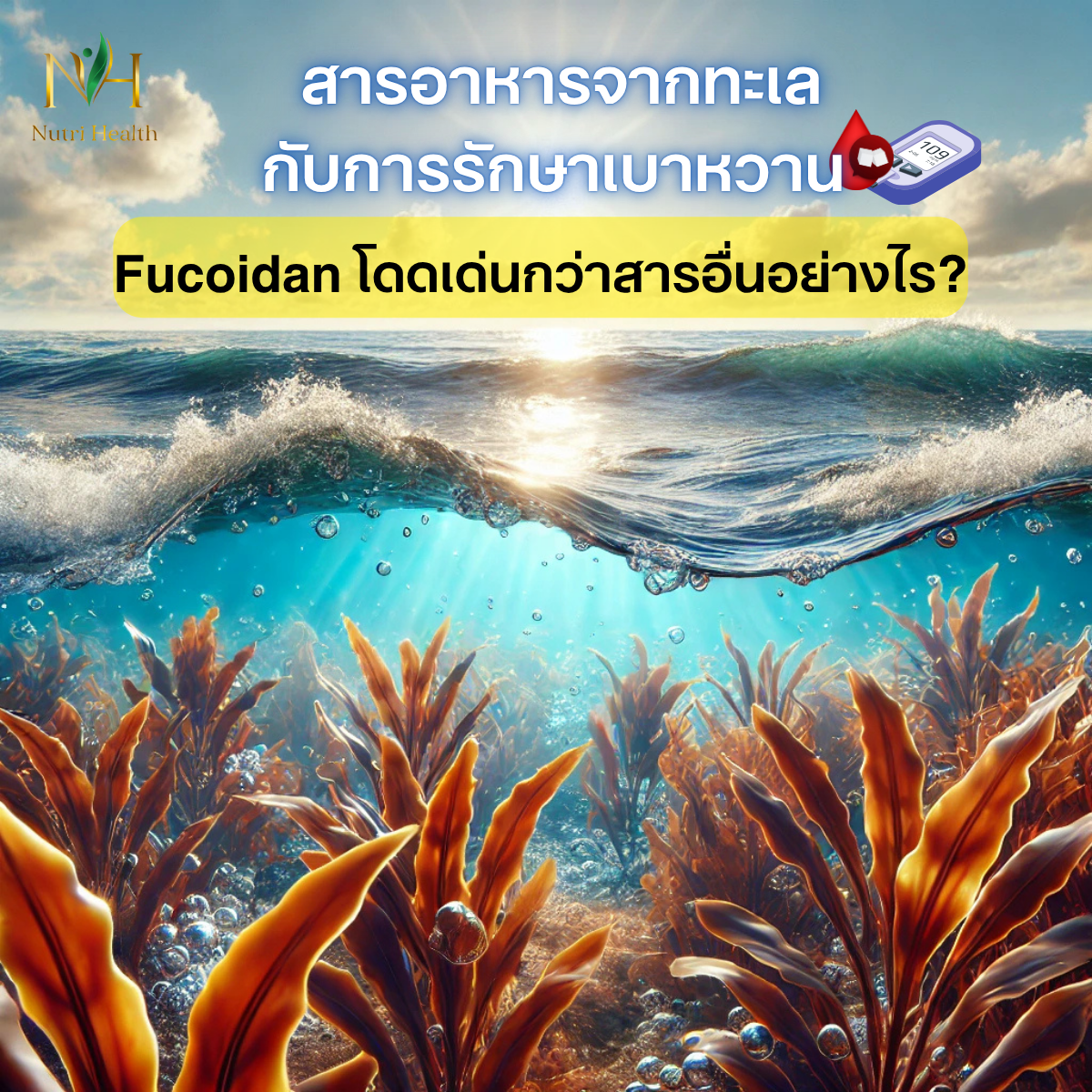 สารอาหารจากทะเลกับการรักษาเบาหวาน: Fucoidan โดดเด่นกว่าสารอื่นอย่างไร?
