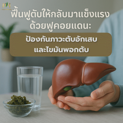 ฟื้นฟูตับให้กลับมาแข็งแรงด้วยฟูคอยแดน: ป้องกันภาวะตับอักเสบและไขมันพอกตับ