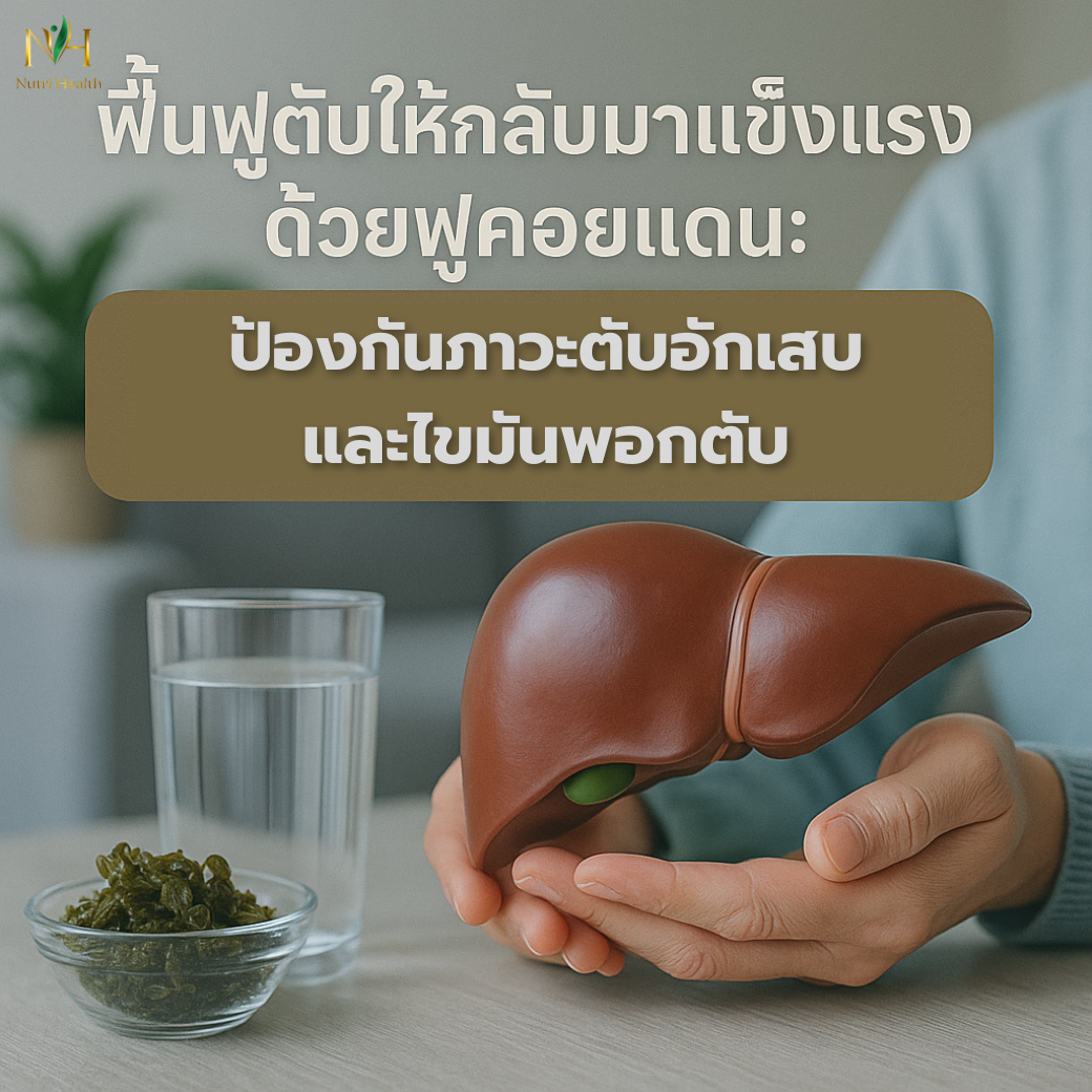 ฟื้นฟูตับให้กลับมาแข็งแรงด้วยฟูคอยแดน: ป้องกันภาวะตับอักเสบและไขมันพอกตับ