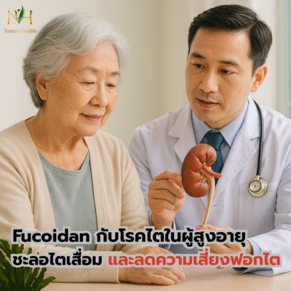 Fucoidan กับโรคไตในผู้สูงอายุ ชะลอไตเสื่อม และลดความเสี่ยงฟอกไต