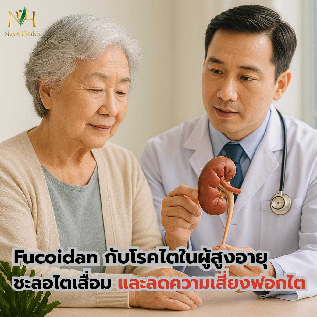 Fucoidan กับโรคไตในผู้สูงอายุ ชะลอไตเสื่อม และลดความเสี่ยงฟอกไต