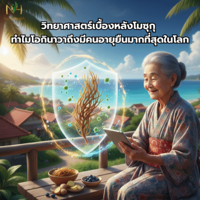 วิทยาศาสตร์เบื้องหลังโมซุกุ ทำไมโอกินาวาถึงมีคนอายุยืนมากที่สุดในโลก