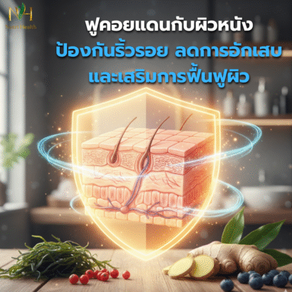 ฟูคอยแดนกับผิวหนัง ป้องกันริ้วรอย ลดการอักเสบ และเสริมการฟื้นฟูผิว