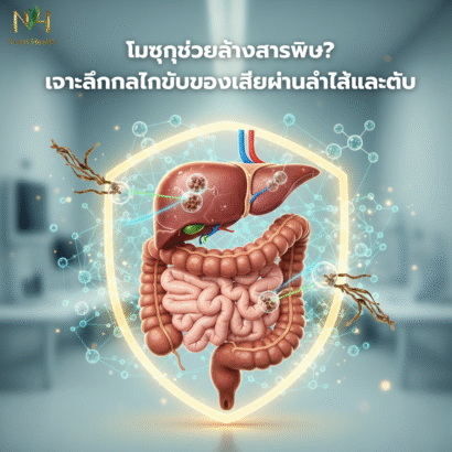 โมซุกุช่วยล้างสารพิษ? เจาะลึกกลไกขับของเสียผ่านลำไส้และตับ