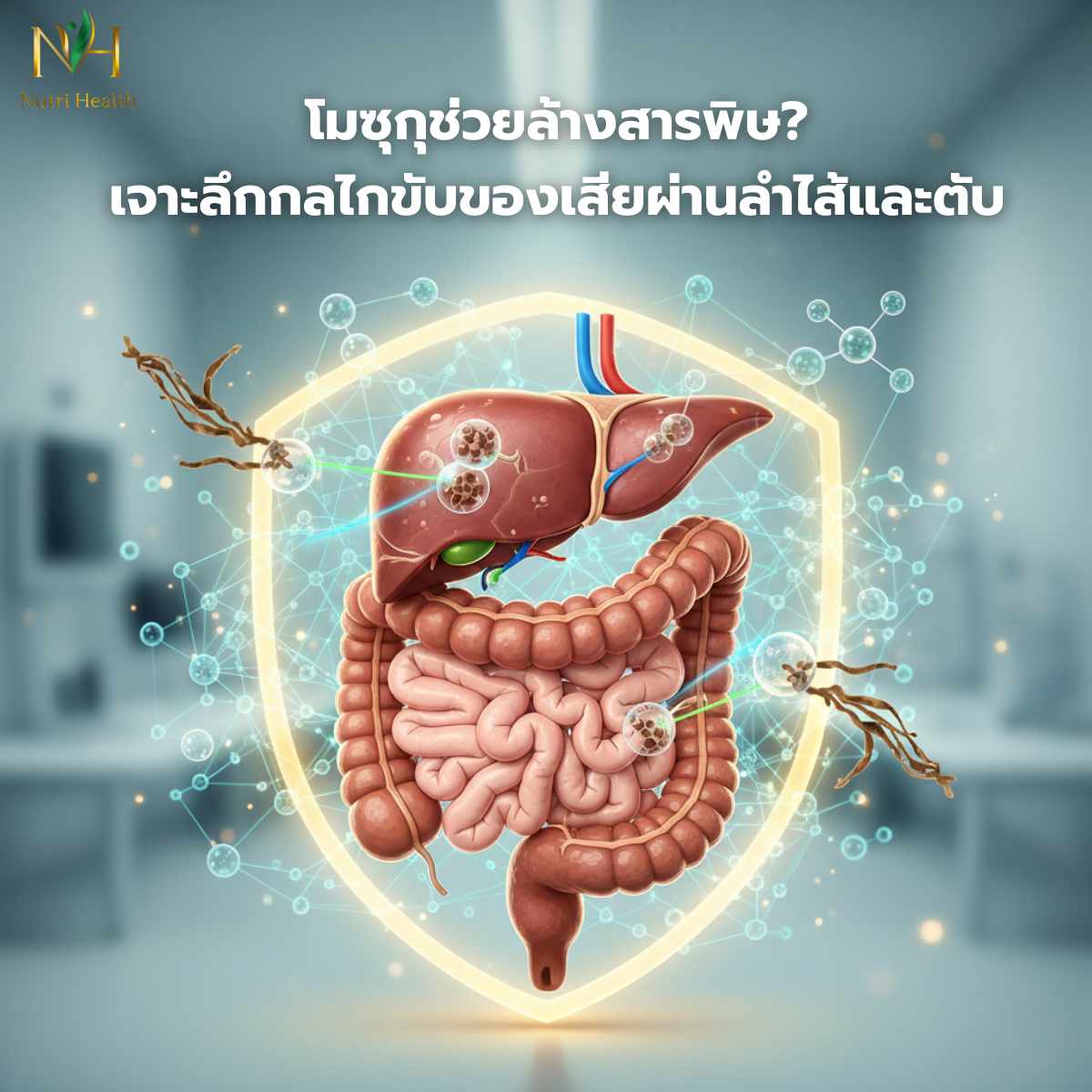 โมซุกุช่วยล้างสารพิษ? เจาะลึกกลไกขับของเสียผ่านลำไส้และตับ