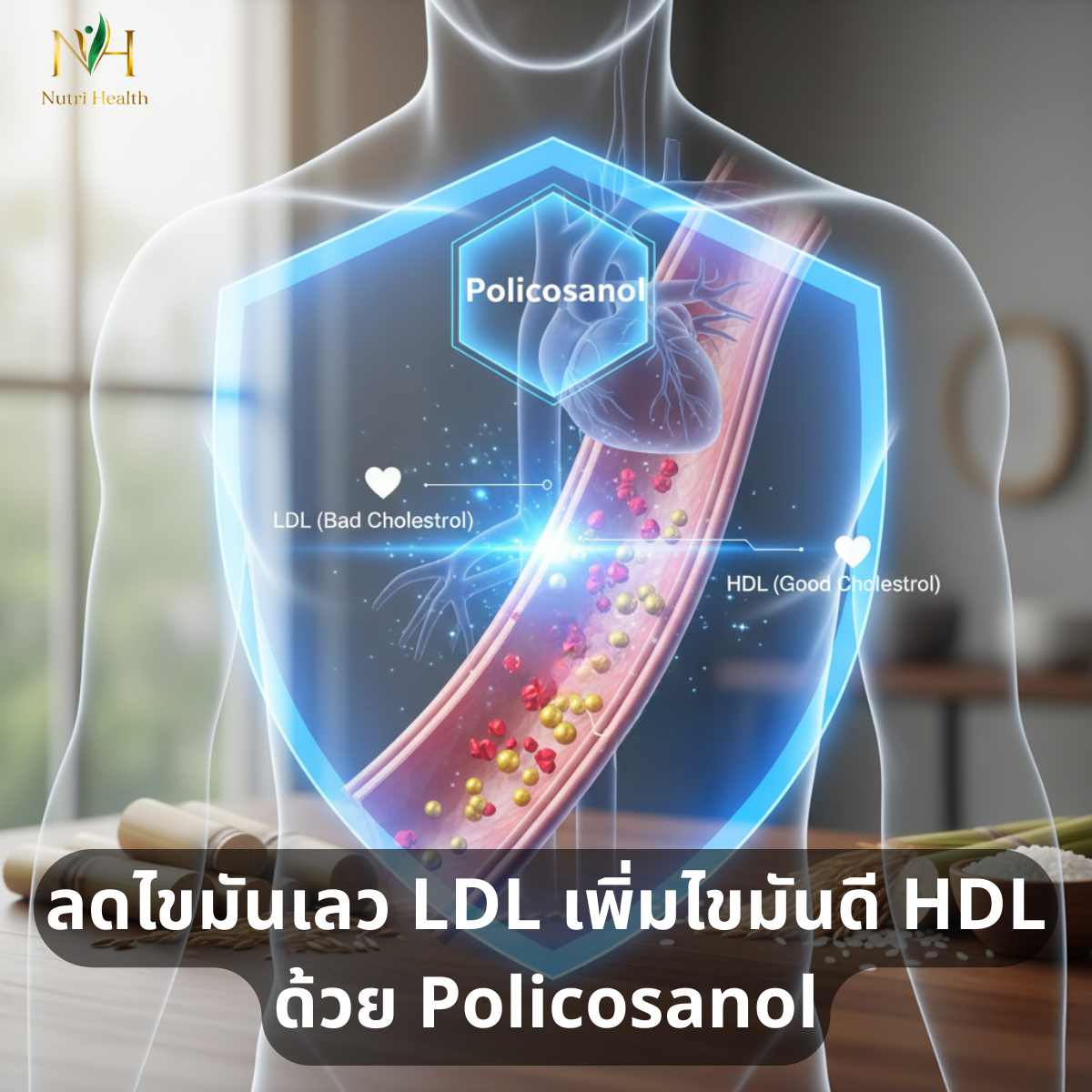 ลดไขมันเลว LDL เพิ่มไขมันดี HDL ด้วย Policosanol