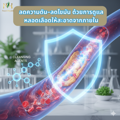 ลดความดัน–ลดไขมัน ด้วยการดูแลหลอดเลือดให้สะอาดจากภายใน