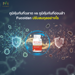 ภูมิคุ้มกันที่ฉลาด vs ภูมิคุ้มกันที่อ่อนล้า: Fucoidan ปรับสมดุลอย่างไร