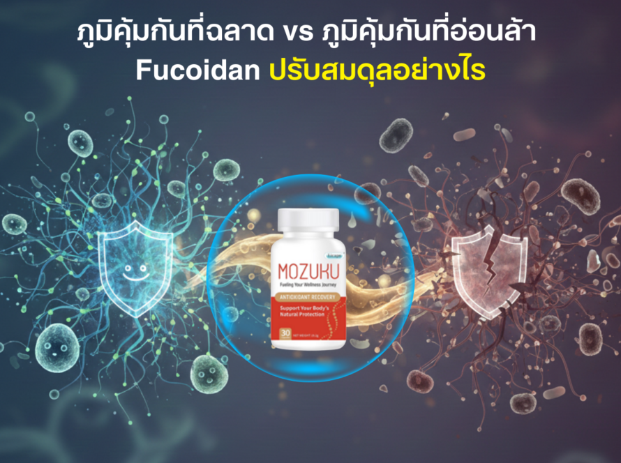 ภูมิคุ้มกันที่ฉลาด vs ภูมิคุ้มกันที่อ่อนล้า: Fucoidan ปรับสมดุลอย่างไร
