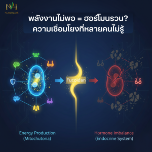 พลังงานไม่พอ = ฮอร์โมนรวน? ความเชื่อมโยงที่หลายคนไม่รู้
