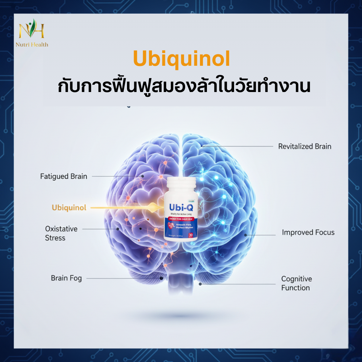 Ubiquinol กับการฟื้นฟูสมองล้าในวัยทำงาน