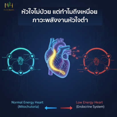 หัวใจไม่ป่วย แต่ทำไมถึงเหนื่อย ภาวะพลังงานหัวใจต่ำที่หลายคนมองข้าม