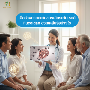 เมื่อร่างกายสะสมของเสียระดับเซลล์ Fucoidan ช่วยเคลียร์อย่างไร