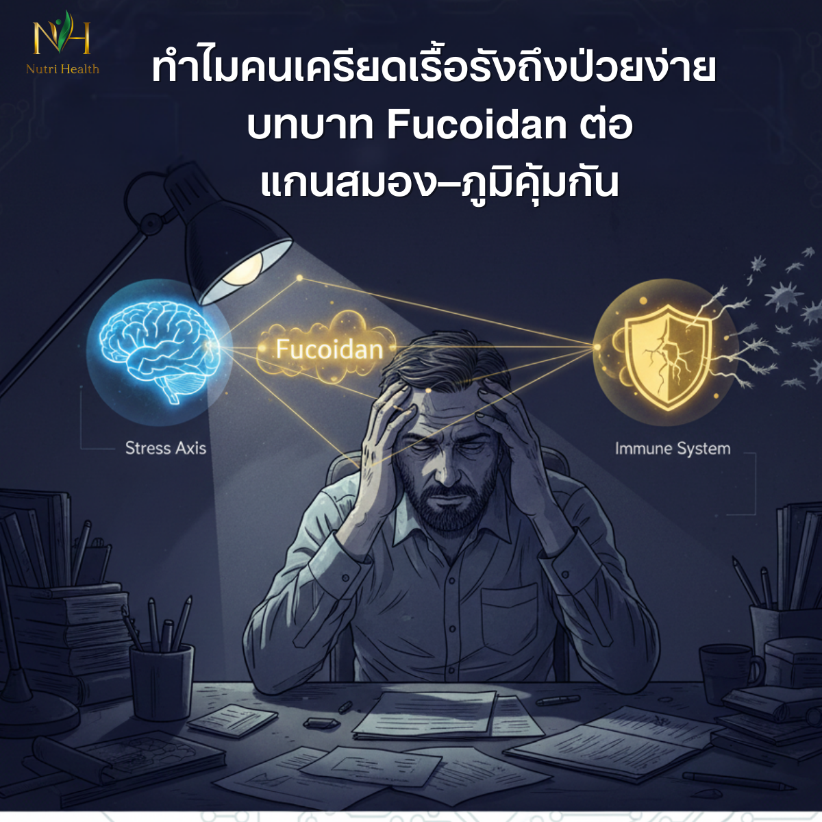 ทำไมคนเครียดเรื้อรังถึงป่วยง่าย: บทบาทของ Fucoidan ต่อแกนสมอง–ภูมิคุ้มกัน