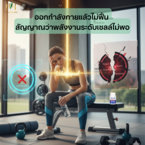 ออกกำลังกายแล้วไม่ฟื้น: สัญญาณว่าพลังงานระดับเซลล์ไม่พอ