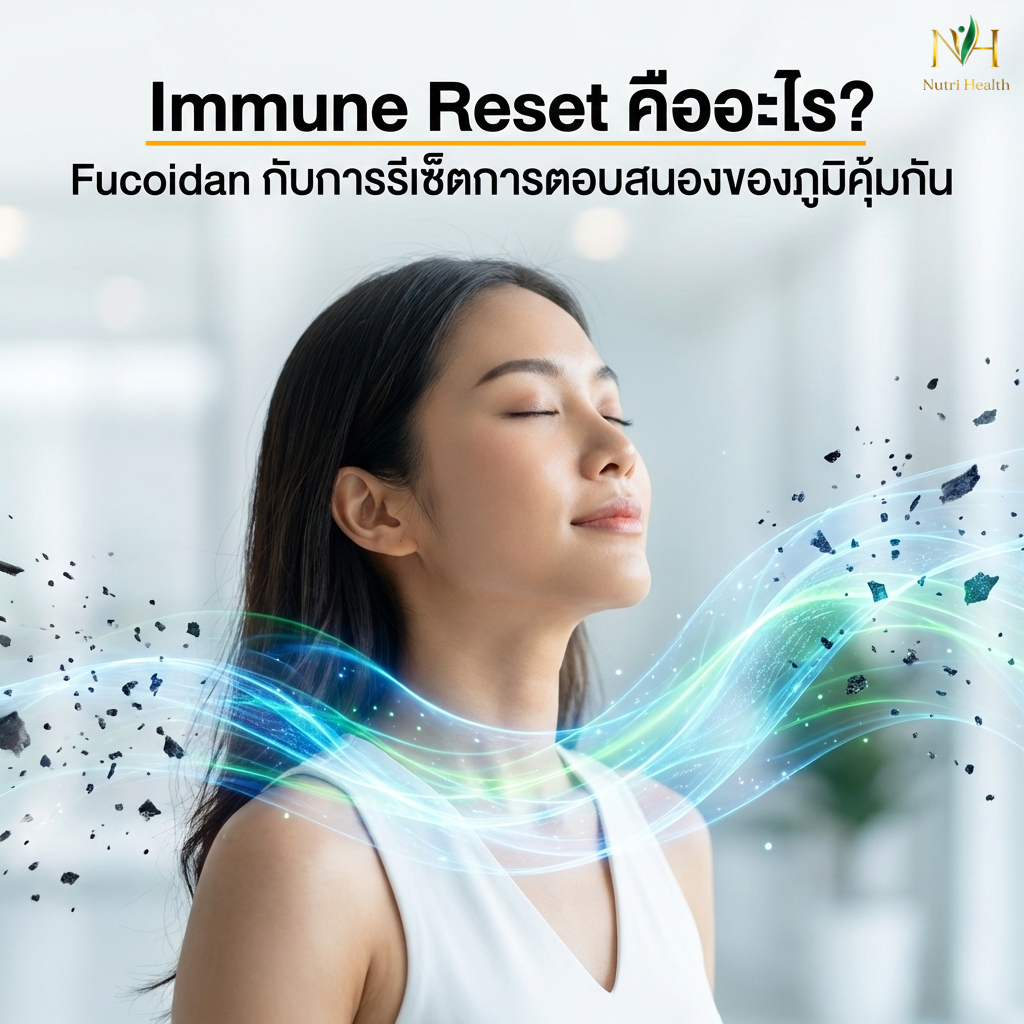 Immune Reset คืออะไร? Fucoidan กับการปรับสมดุลภูมิคุ้มกันอย่างลึกระดับเซลล์