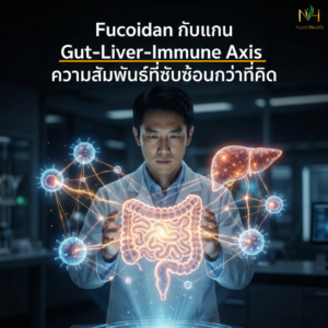 Gut–Liver–Immune Axis คืออะไร? Fucoidan กับความสมดุลลำไส้ ตับ และภูมิคุ้มกัน