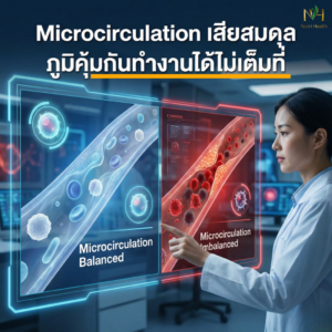 Microcirculation คืออะไร? ทำไมการไหลเวียนระดับเส้นเลือดฝอยจึงสำคัญต่อภูมิคุ้มกัน