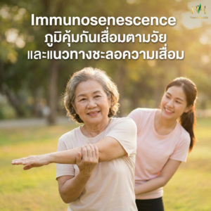 Immunosenescence คืออะไร? ทำไมภูมิคุ้มกันเสื่อมตามวัย