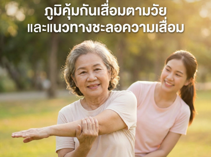 Immunosenescence คืออะไร? ทำไมภูมิคุ้มกันเสื่อมตามวัย