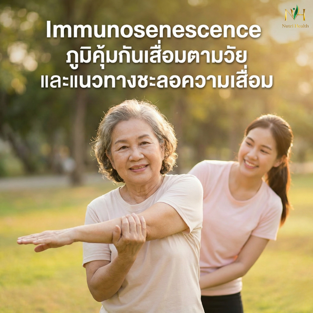 Immunosenescence คืออะไร? ทำไมภูมิคุ้มกันเสื่อมตามวัย