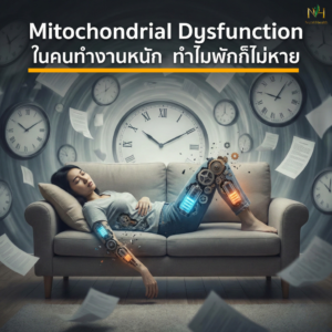 Mitochondrial Dysfunction ทำไมพักก็ไม่หายเหนื่อย