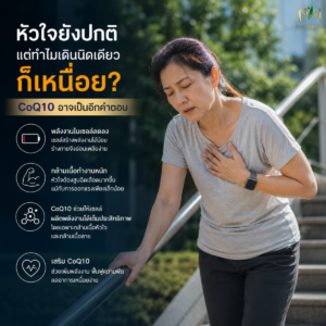 หัวใจยังปกติ แต่ทำไมเดินนิดเดียวก็เหนื่อย CoQ10 อาจเป็นอีกคำตอบ